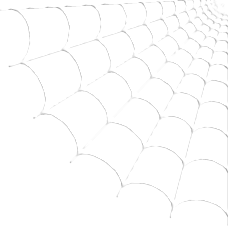 Spider Web Right
